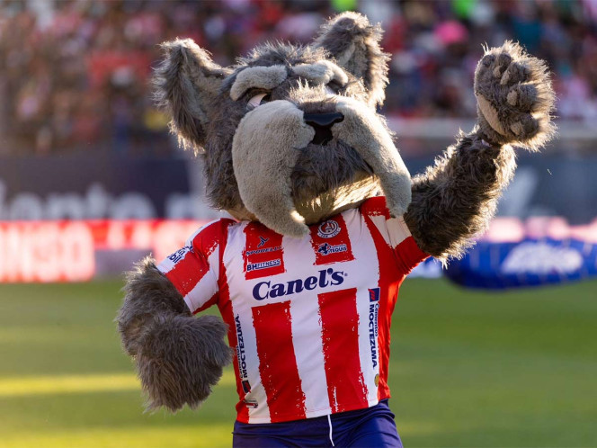 Lucho, la mascota del Atlético de San Luis que está llena de significados